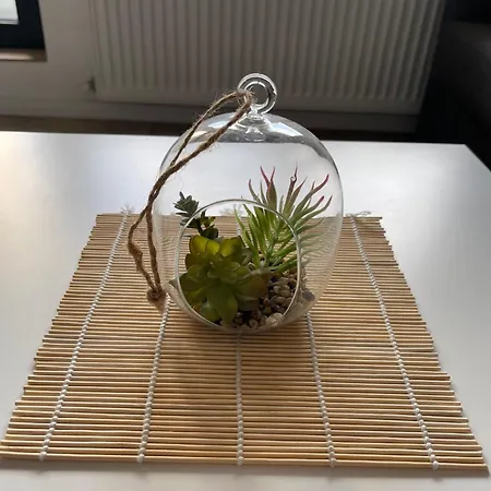 Apartment 公寓 布加勒斯特